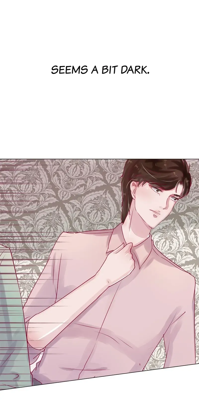 The Chairman Is in Love With Two of Me Chapter 25 - page 18