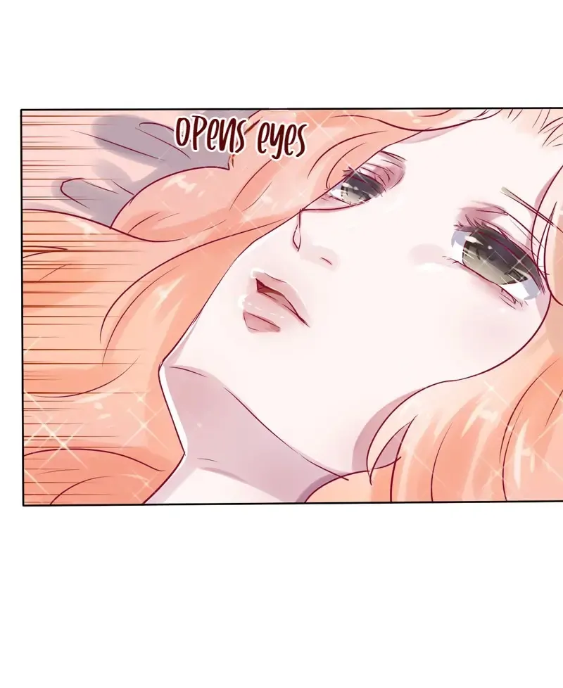 The Chairman Is in Love With Two of Me Chapter 25 - page 3