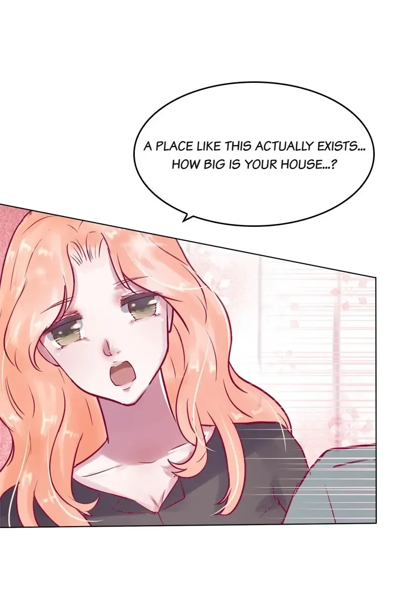The Chairman Is in Love With Two of Me Chapter 33 - page 17