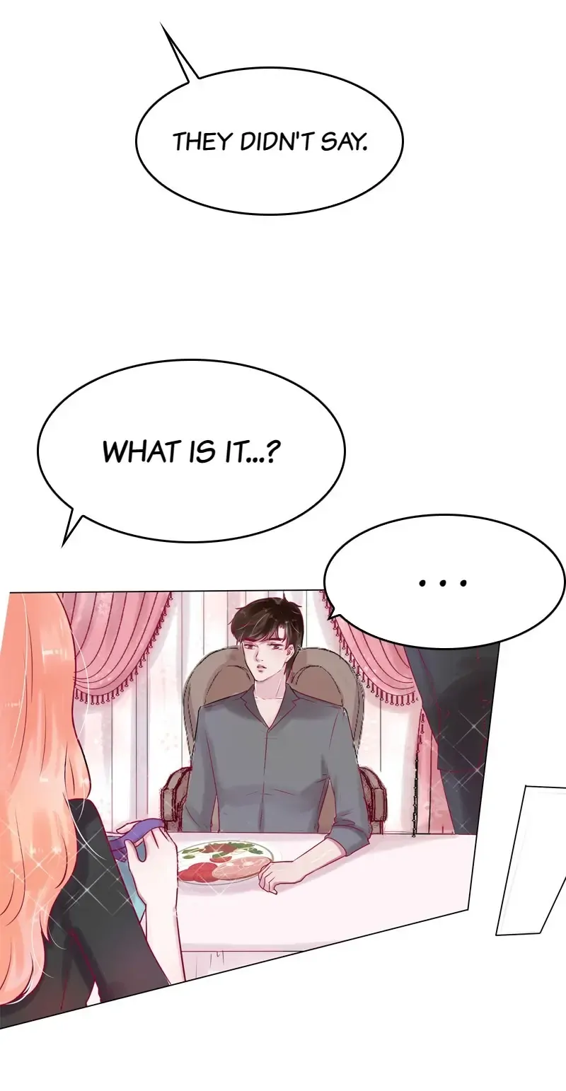 The Chairman Is in Love With Two of Me Chapter 33 - page 27