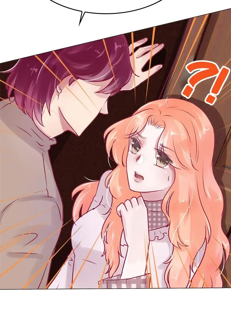 The Chairman Is in Love With Two of Me Chapter 36 - page 4