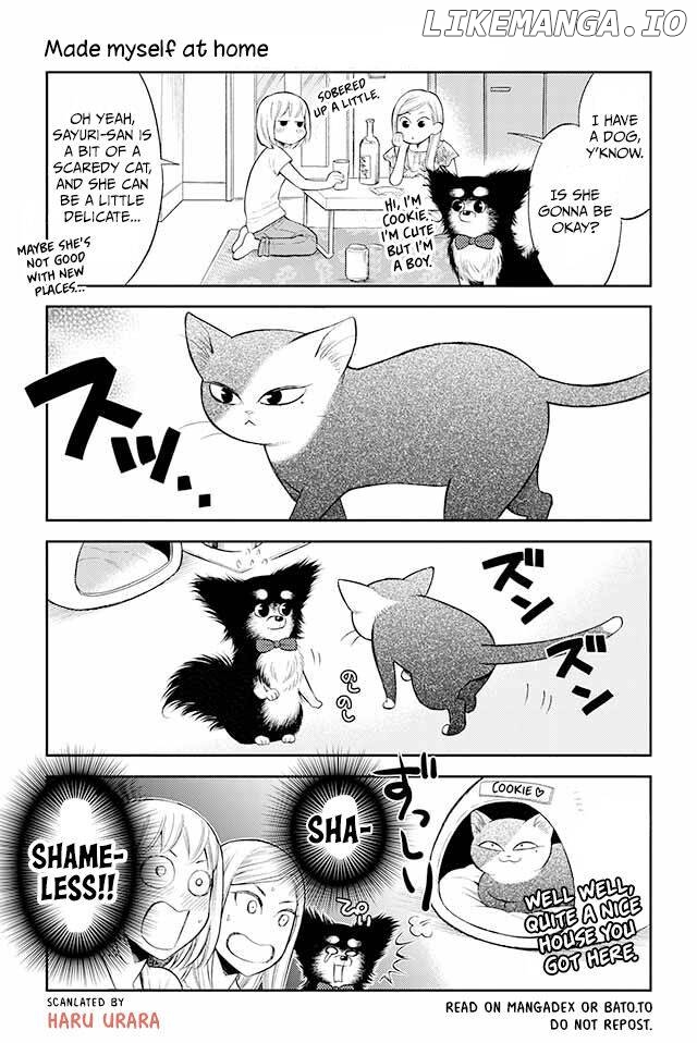 Kareshi no Neko ga Kawaikunai chapter 42 - page 1