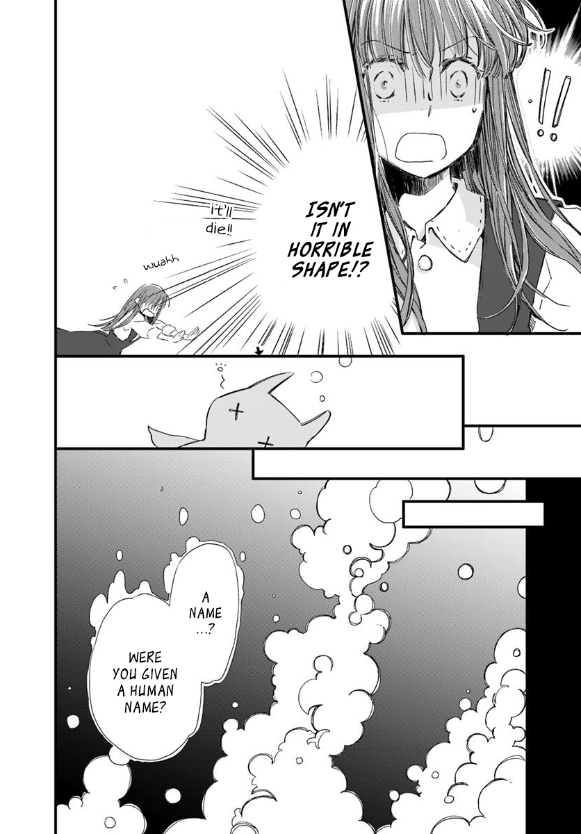 Fukushuu wo Chikatta Shironeko wa Ryuuou no Hiza no Jou de Damin wo Musaboru chapter 15.2 - page 2