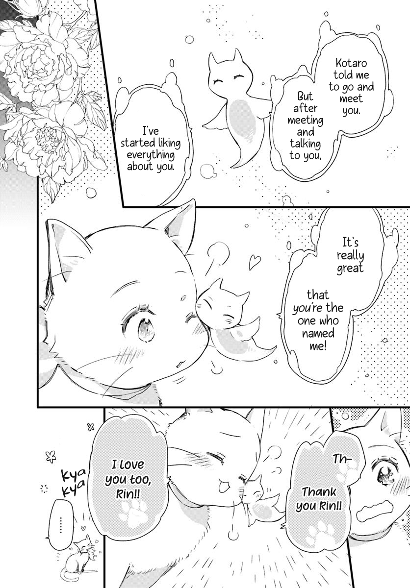 Fukushuu wo Chikatta Shironeko wa Ryuuou no Hiza no Jou de Damin wo Musaboru chapter 15.4 - page 3