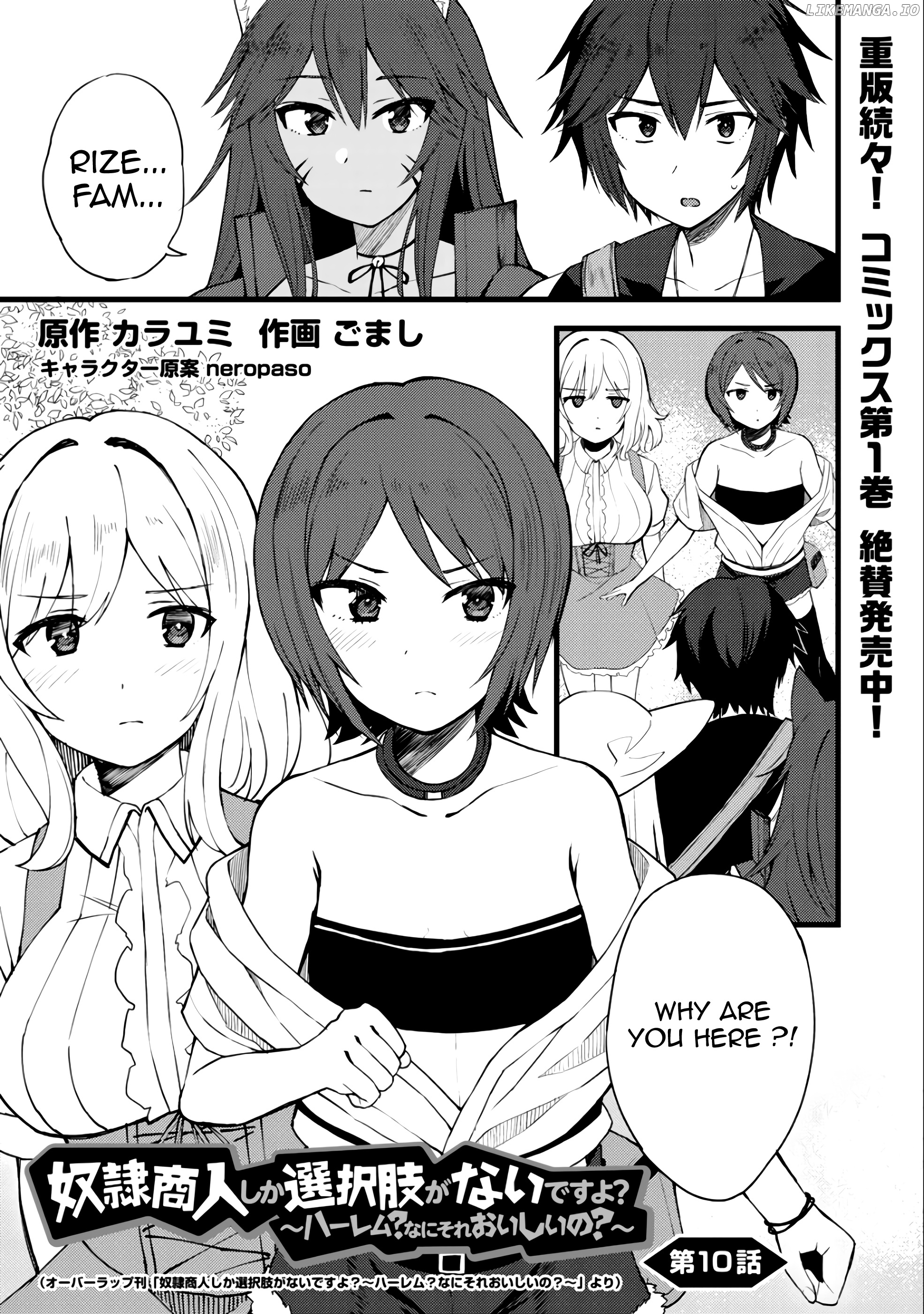 Dorei Shounin Shika Sentakushi Ga Nai desu Yo? ~Harem? Nani sore oishii no?~ chapter 10 - page 2