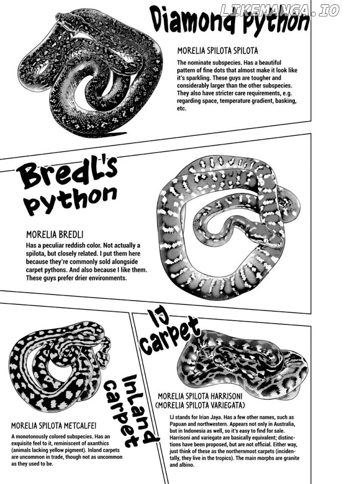 Secret Reptiles chapter 55 - page 7