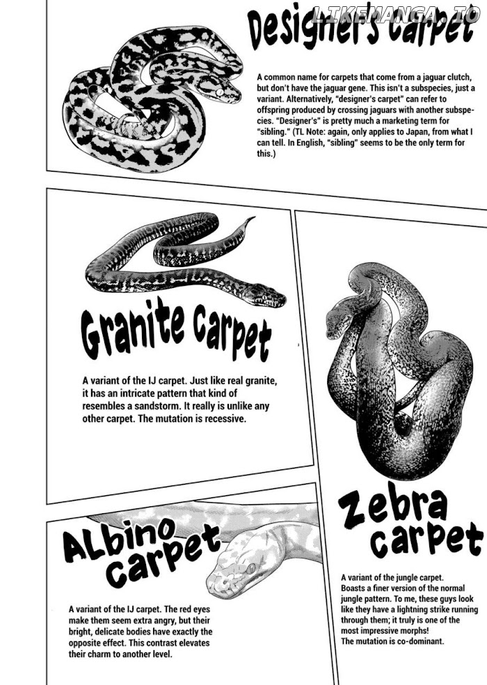 Secret Reptiles chapter 55 - page 8