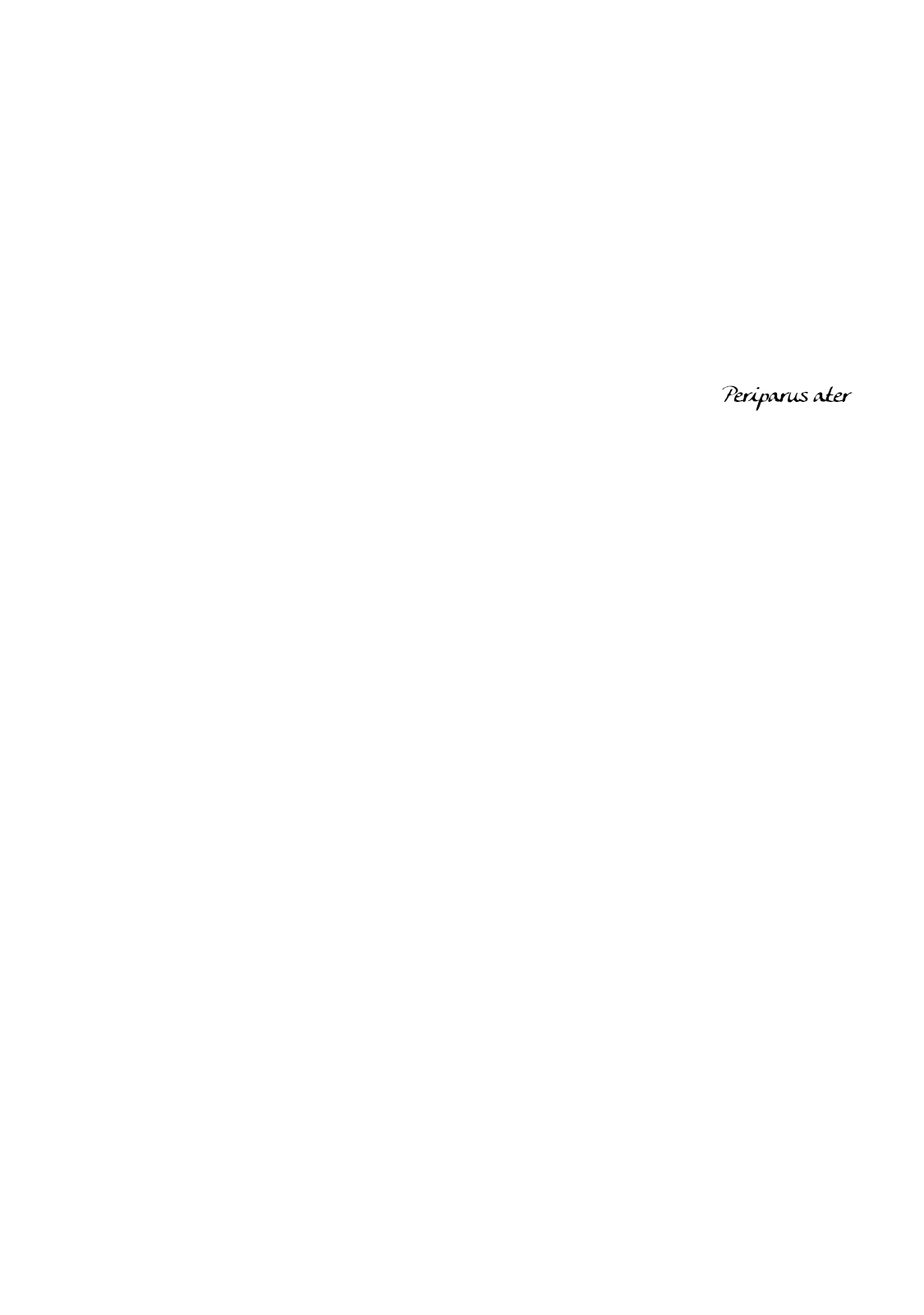 The Story of Letters chapter 3 - page 3