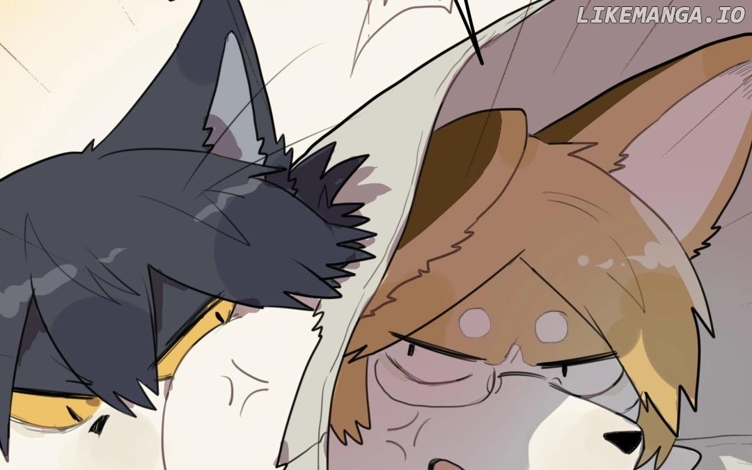 Catman and Dogman Chapter 23 - page 13