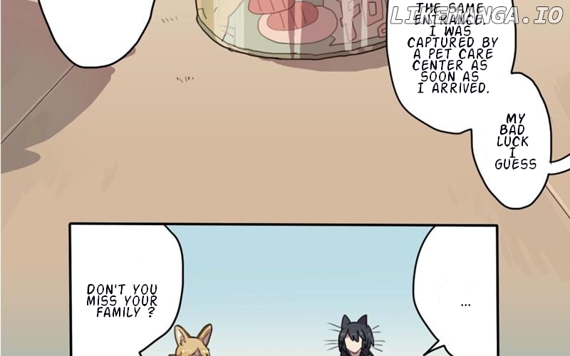 Catman and Dogman Chapter 3 - page 17