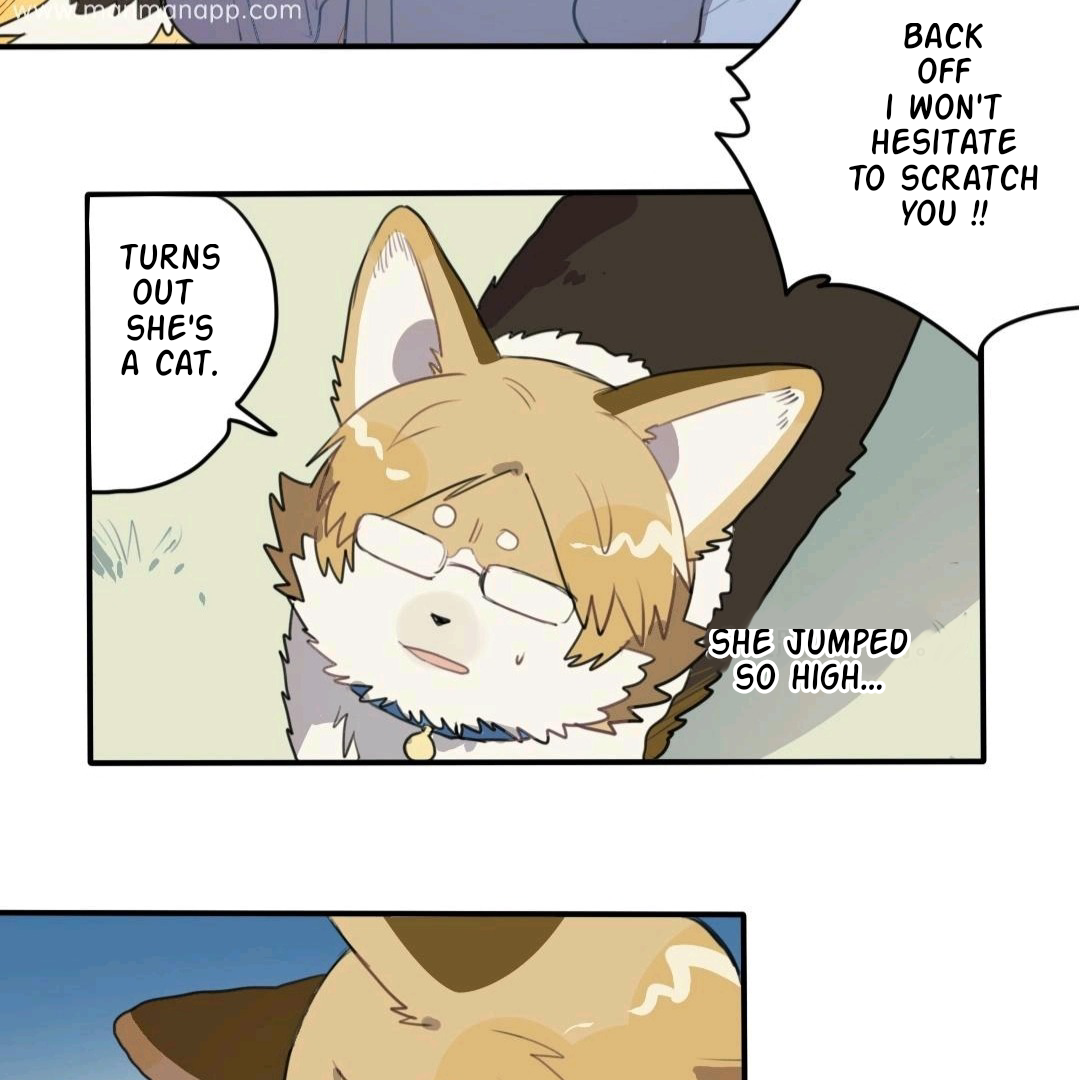 Catman and Dogman Chapter 28 - page 2