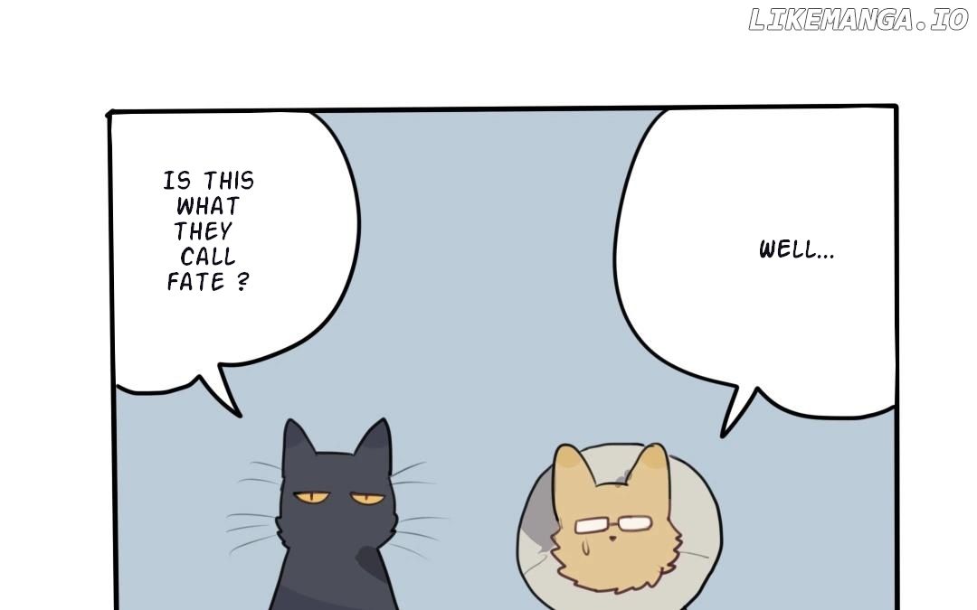 Catman and Dogman Chapter 24 - page 17