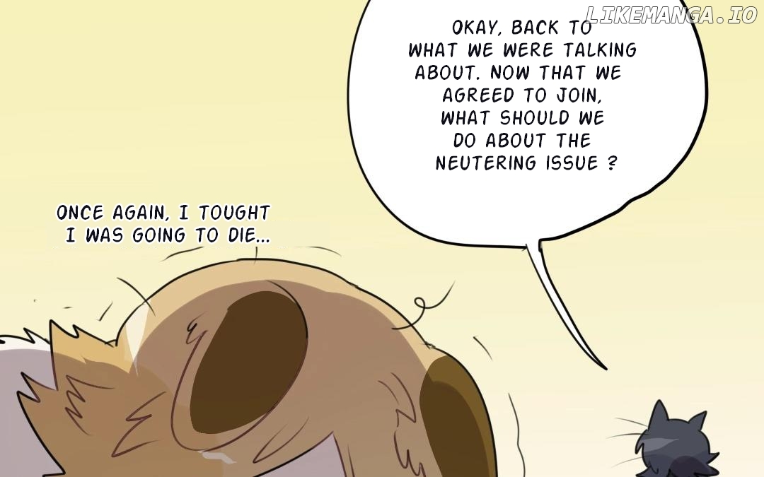 Catman and Dogman Chapter 22 - page 31