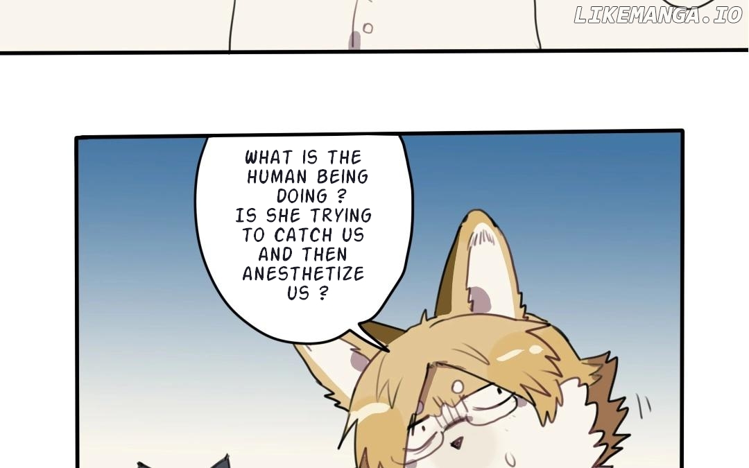 Catman and Dogman Chapter 20 - page 25