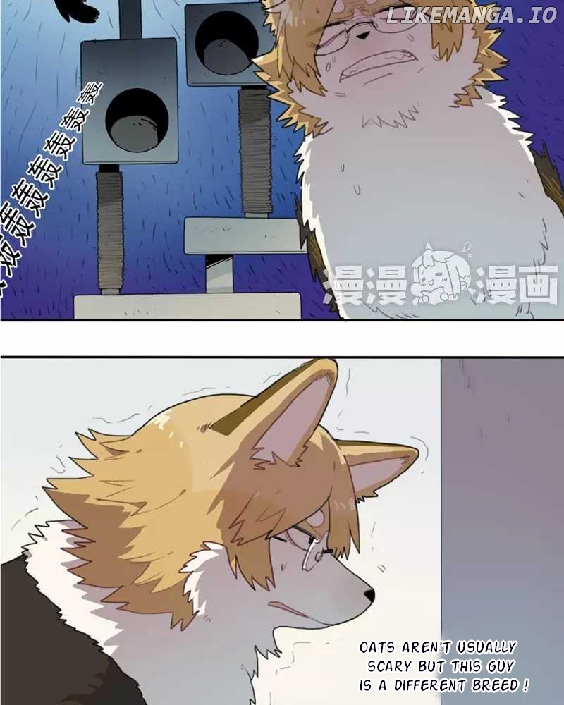 Catman and Dogman Chapter 2 - page 10