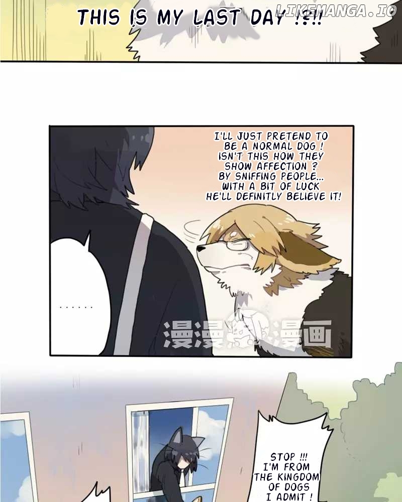 Catman and Dogman Chapter 2 - page 14