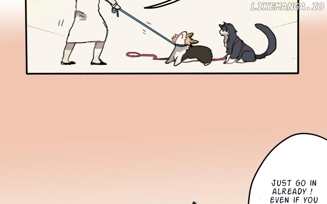 Catman and Dogman Chapter 19 - page 9