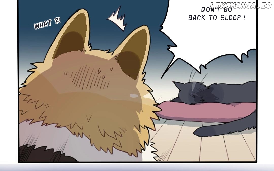 Catman and Dogman Chapter 17 - page 19