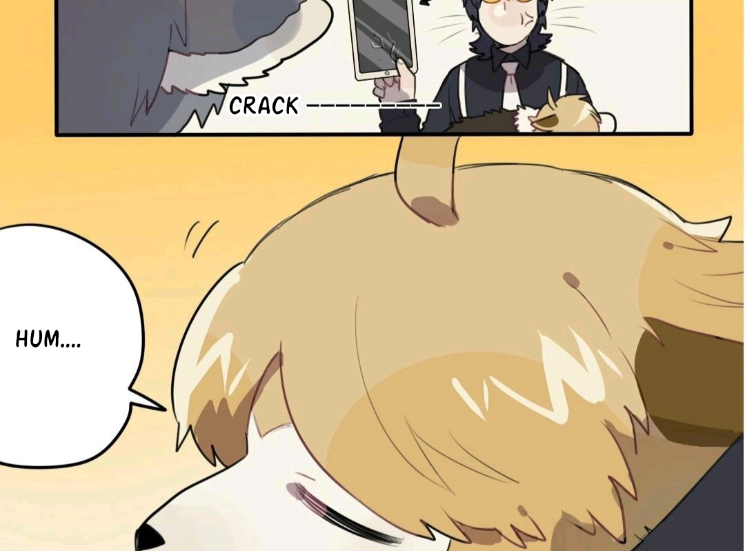 Catman and Dogman Chapter 32 - page 12