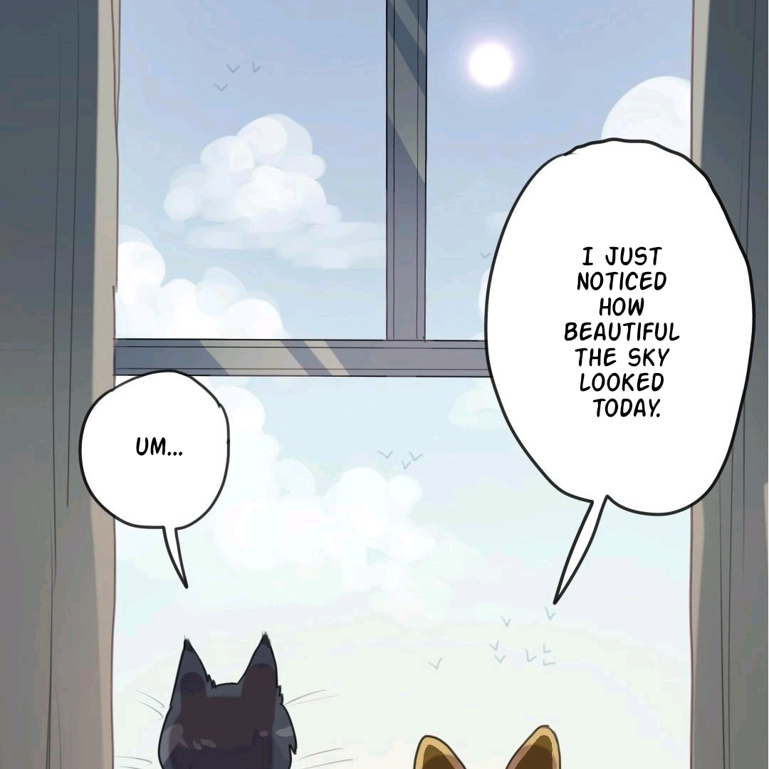 Catman and Dogman Chapter 34 - page 16
