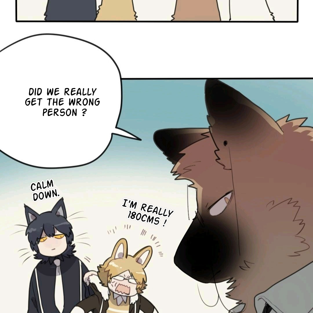 Catman and Dogman Chapter 39 - page 8