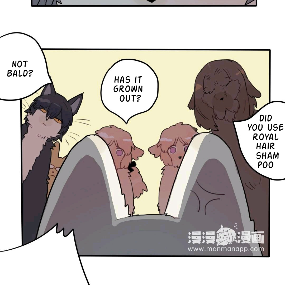 Catman and Dogman Chapter 44 - page 11