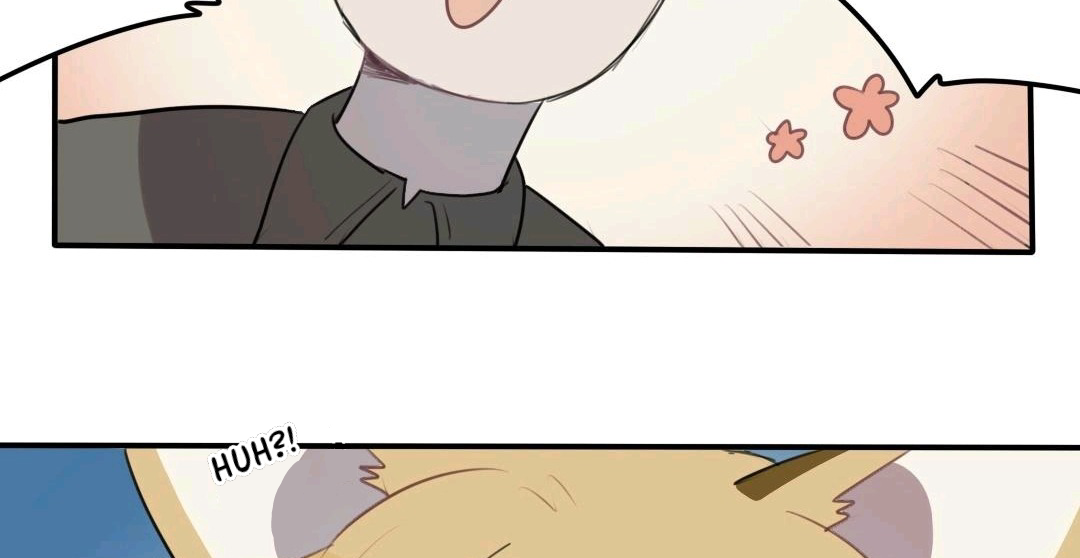 Catman and Dogman Chapter 46 - page 3