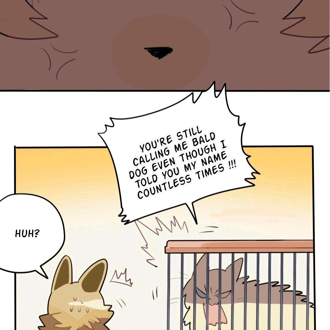 Catman and Dogman Chapter 48 - page 25