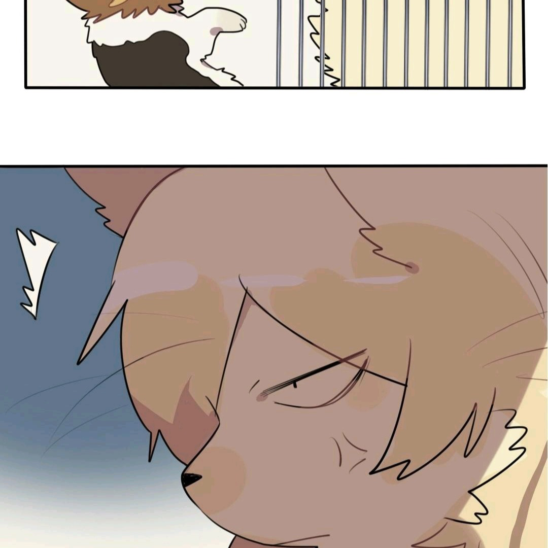 Catman and Dogman Chapter 48 - page 26