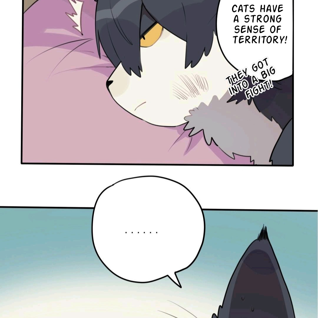 Catman and Dogman Chapter 48 - page 5