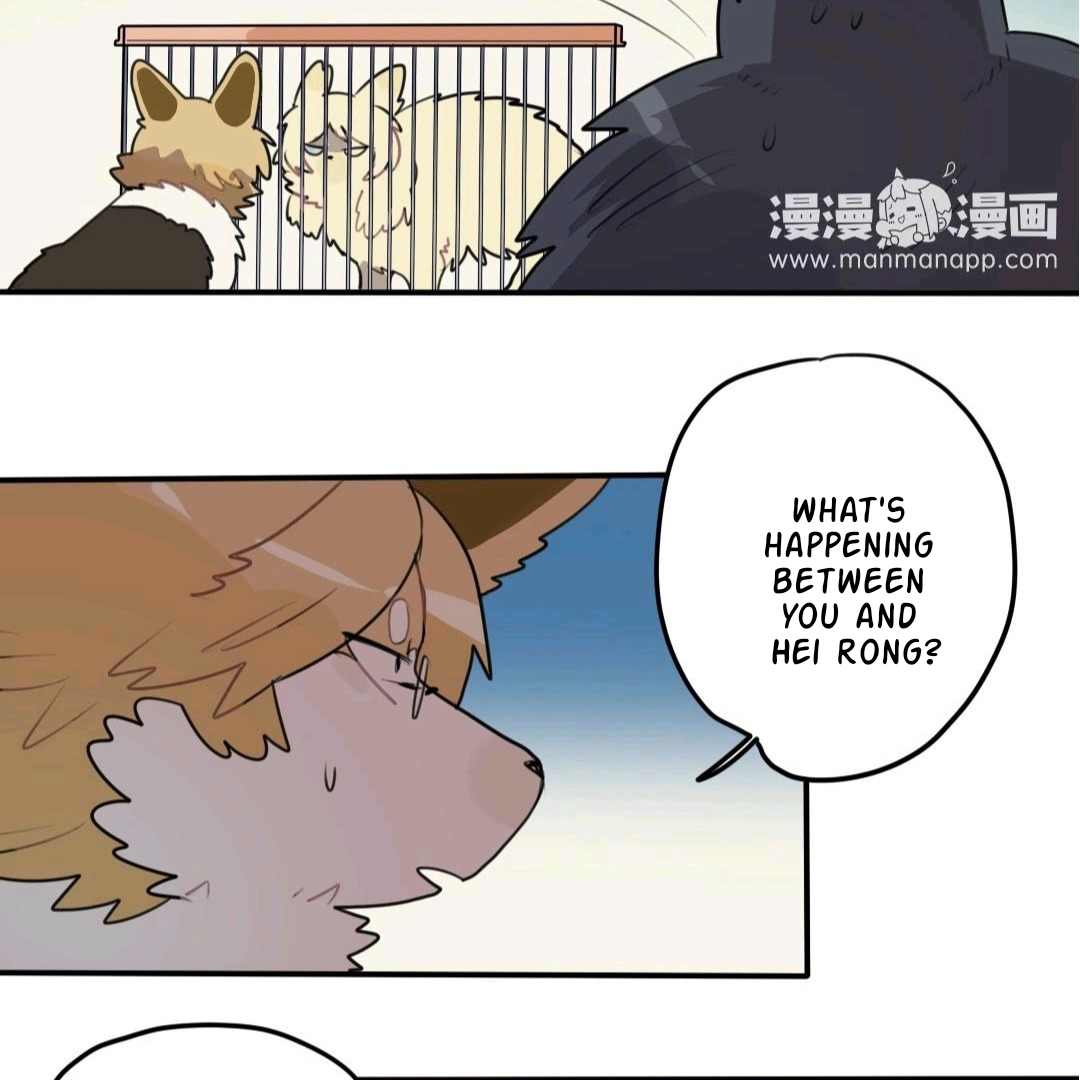 Catman and Dogman Chapter 48 - page 6