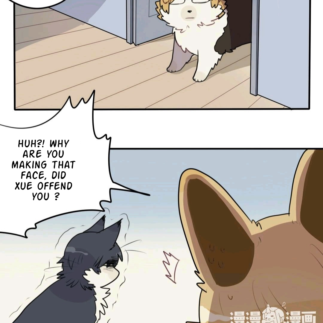 Catman and Dogman Chapter 50 - page 9