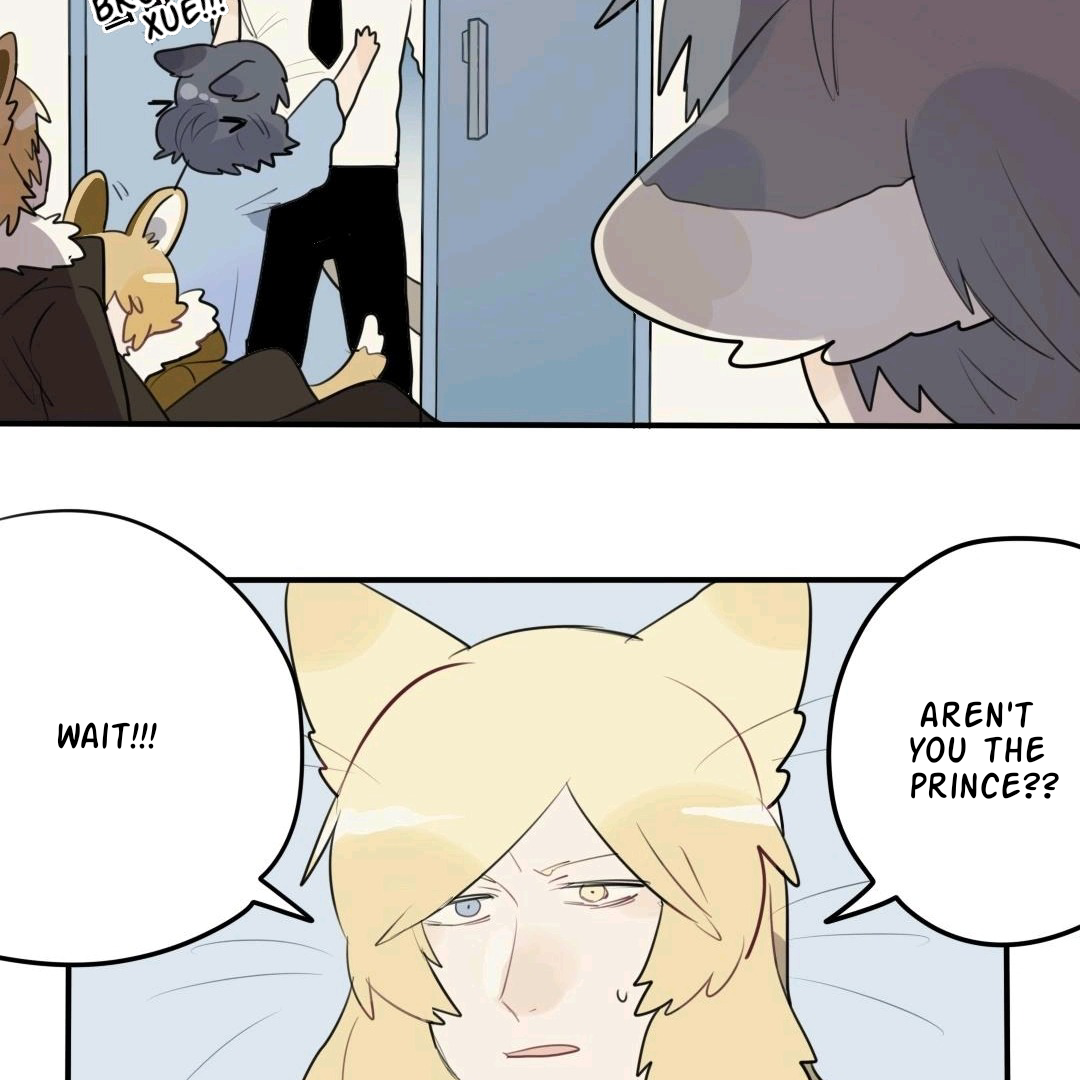 Catman and Dogman Chapter 53 - page 14