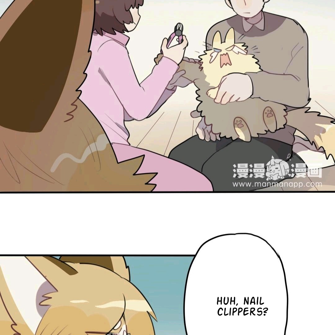Catman and Dogman Chapter 55 - page 12