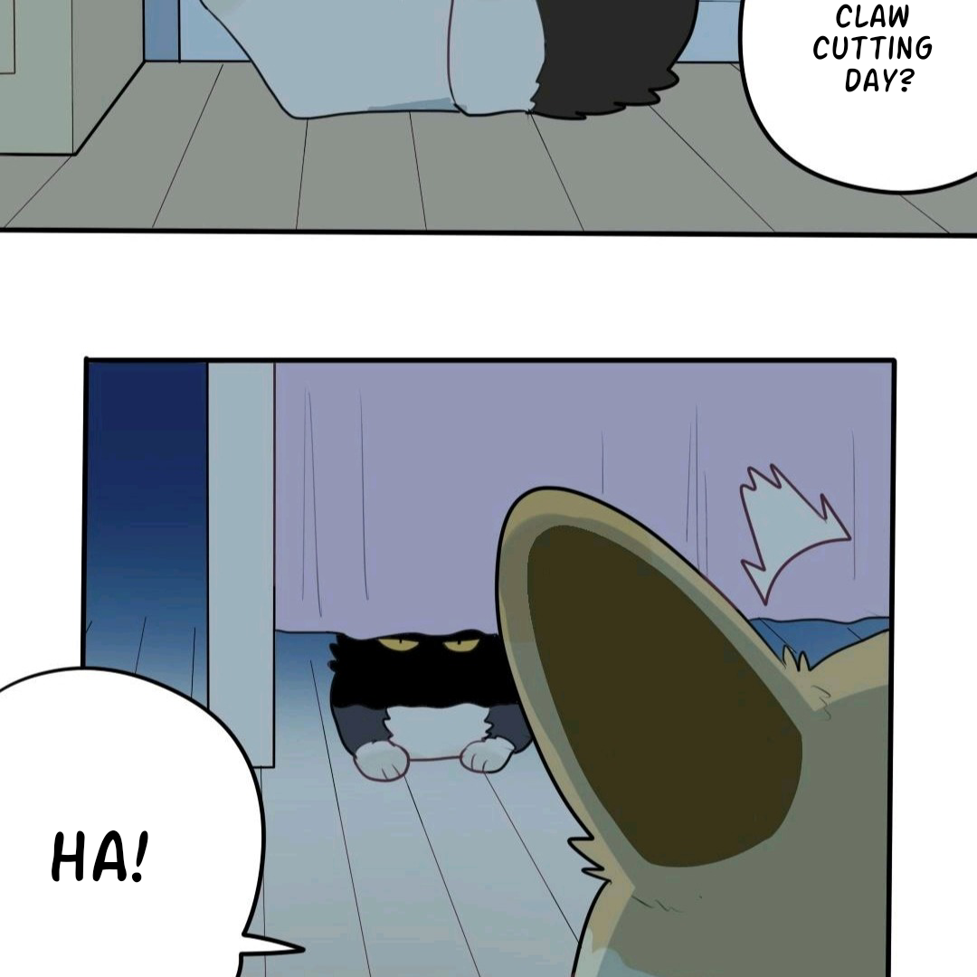 Catman and Dogman Chapter 55 - page 18