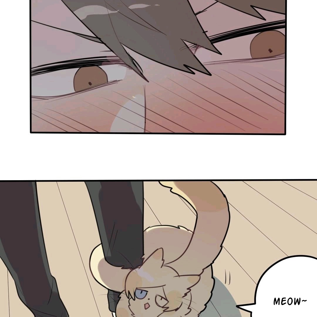 Catman and Dogman Chapter 56 - page 13