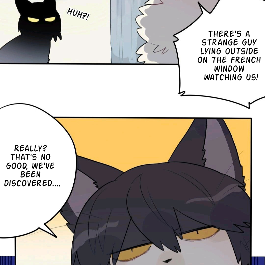 Catman and Dogman Chapter 57 - page 6