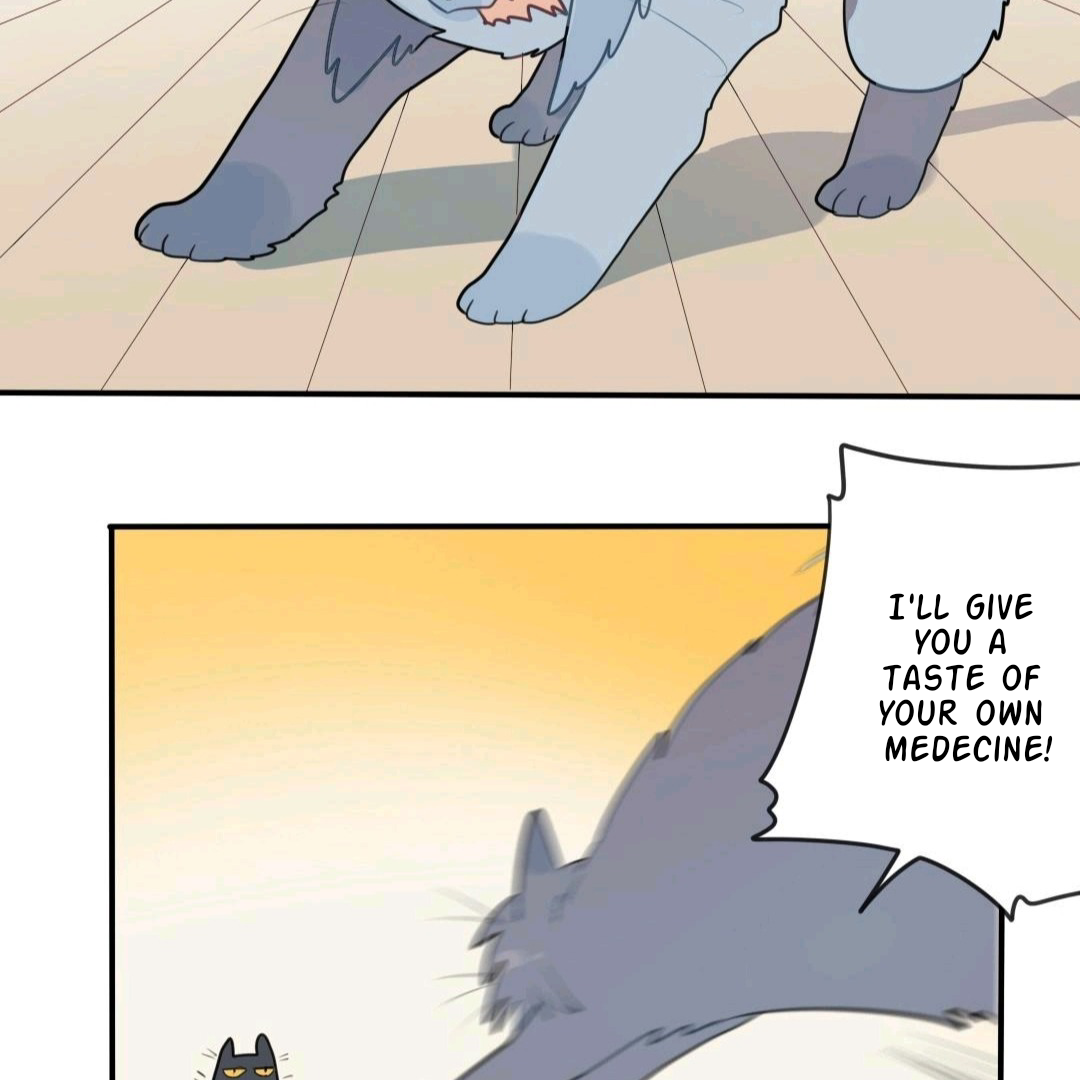 Catman and Dogman Chapter 58 - page 13