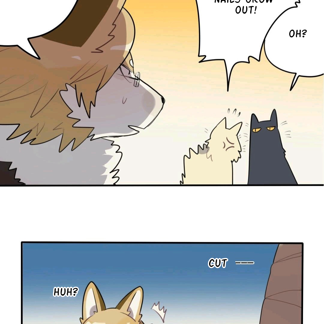 Catman and Dogman Chapter 59 - page 8