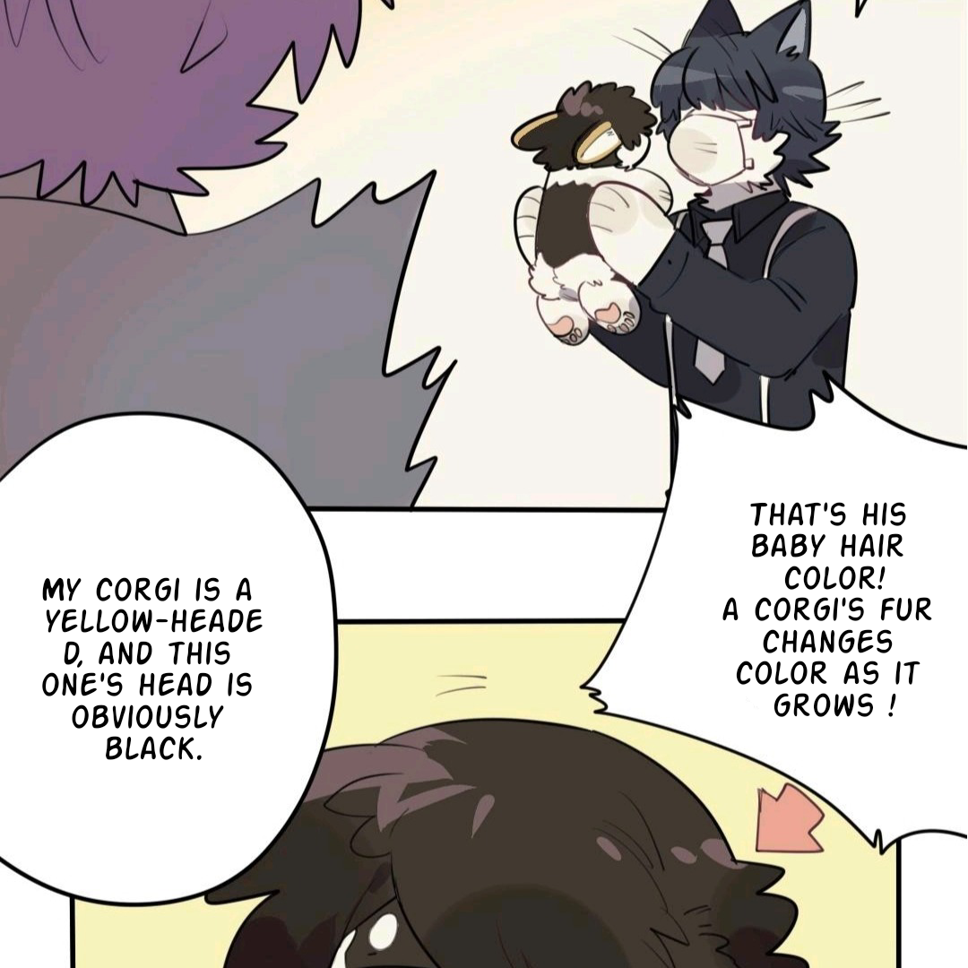 Catman and Dogman Chapter 65 - page 10