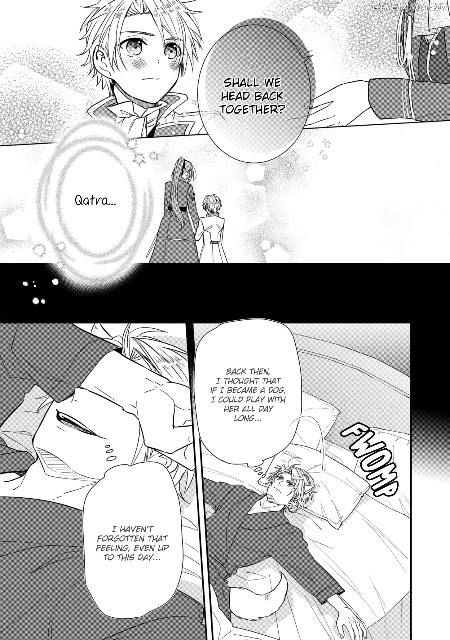 The Emperor Hopes For The Court Lady As His Bride chapter 11.5 - page 4