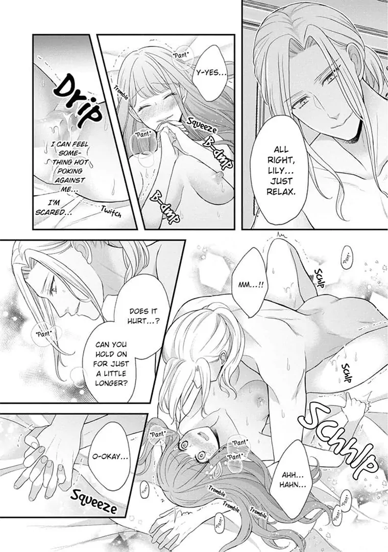 Lily: Lost and Found Again ~By the Sweet Lies and Love of a Nobleman Since Their First Night~ Chapter 1 - page 29