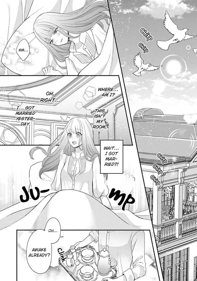 Lily: Lost and Found Again ~By the Sweet Lies and Love of a Nobleman Since Their First Night~ Chapter 2 - page 3