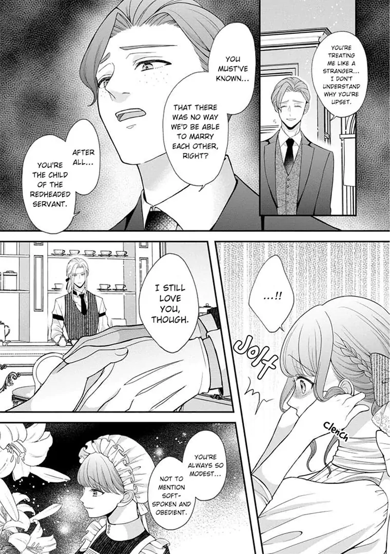 Lily: Lost and Found Again ~By the Sweet Lies and Love of a Nobleman Since Their First Night~ Chapter 3 - page 4