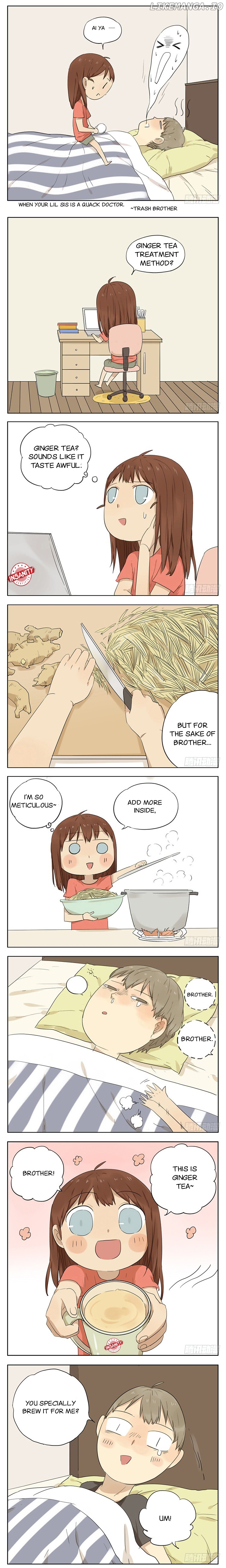 My Brother is A Big Idiot ! chapter 30 - page 3