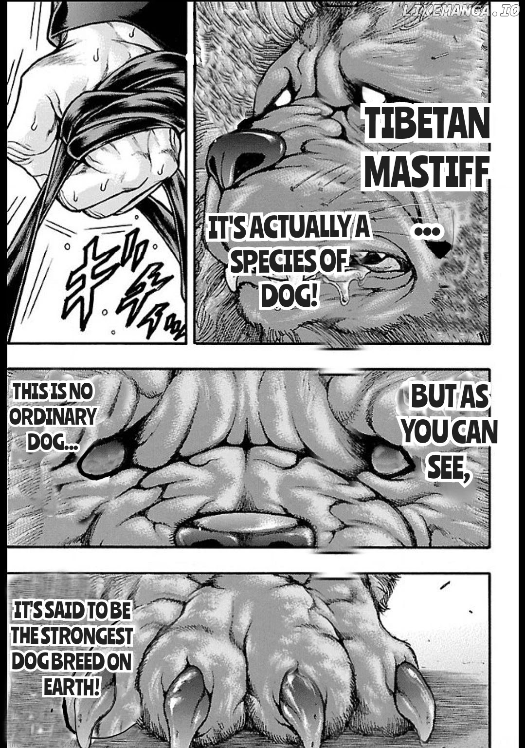Baki Gaiden: Kizudzura chapter 14 - page 5
