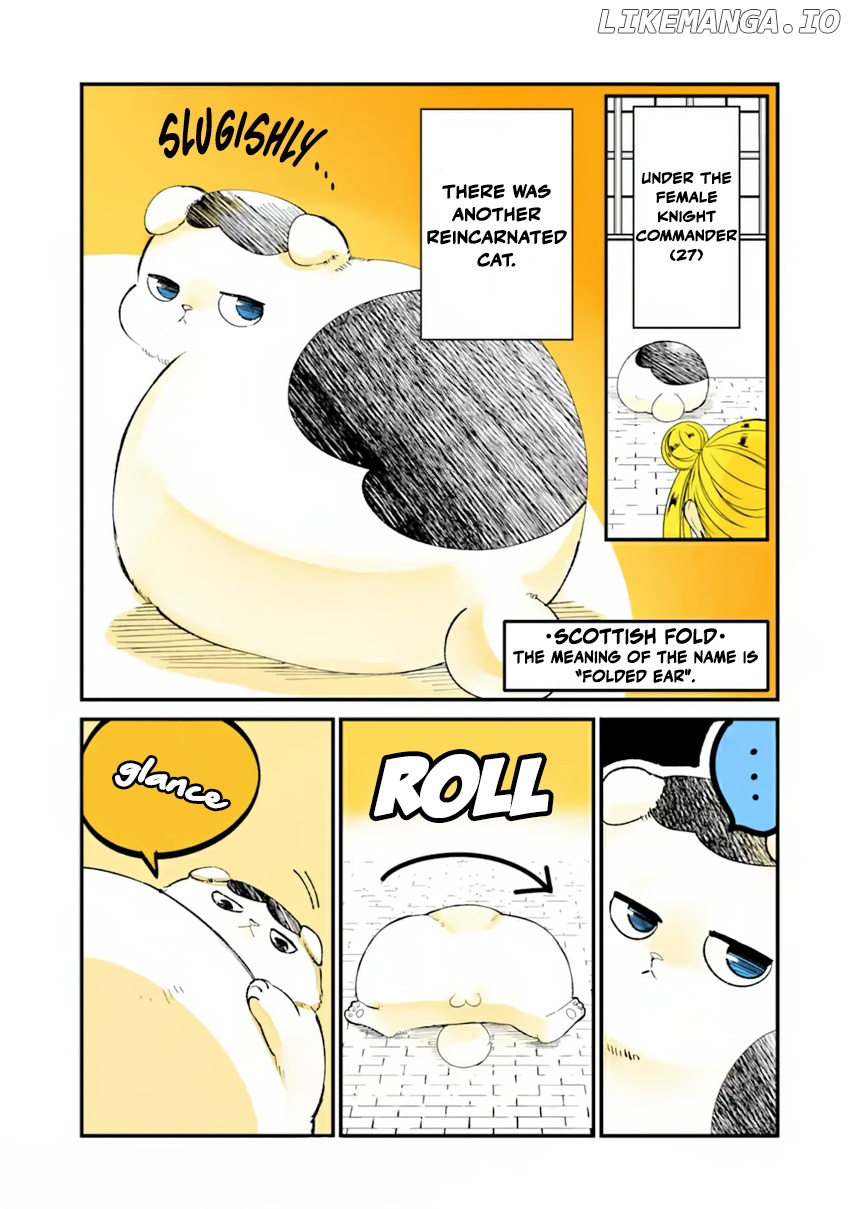 A story about a cat reincarnated in a different world where there are no cats. chapter 14 - page 3