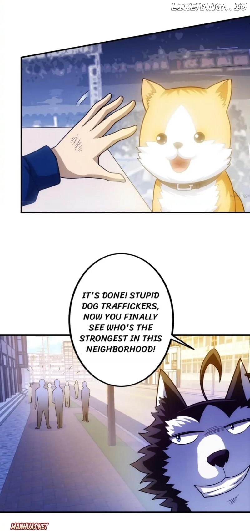 Reborn To Be A Huskie chapter 12 - page 5