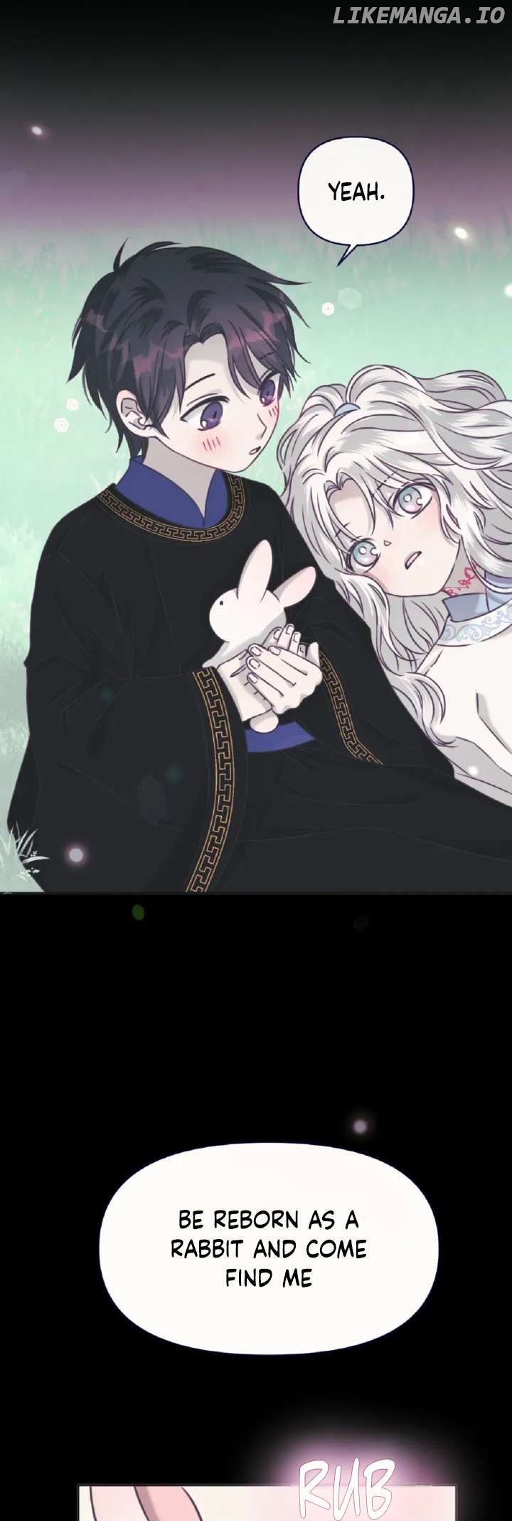 The Baby Dragon and the Rabbit Spirit Chapter 29 - page 3