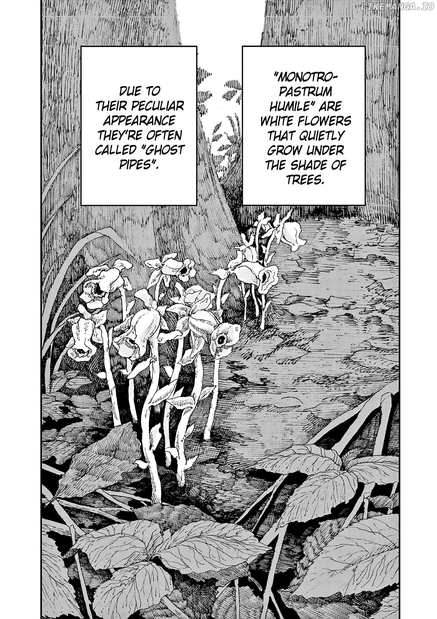 Hundred Ghost Stories Of My Own Death Chapter 82 - page 2